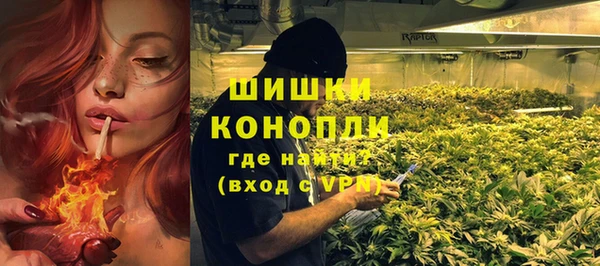PSILOCYBIN Нея