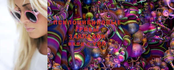 apvp Аркадак