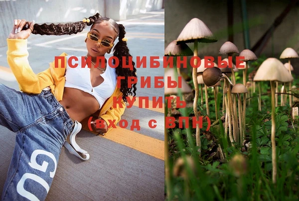PSILOCYBIN Нея