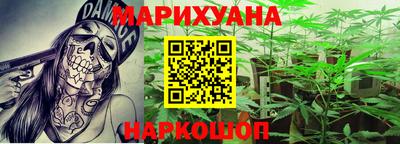 шишки Аша