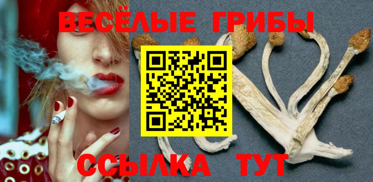 Волжский  Галлюциногенные грибы ЛСД  Вход с VPN  наркота  Галлюциногенные грибы мицелий 