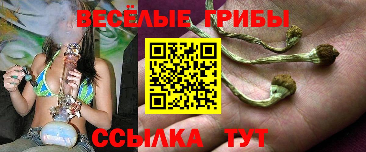 Галлюциногенные грибы GOLDEN TEACHER Волжский