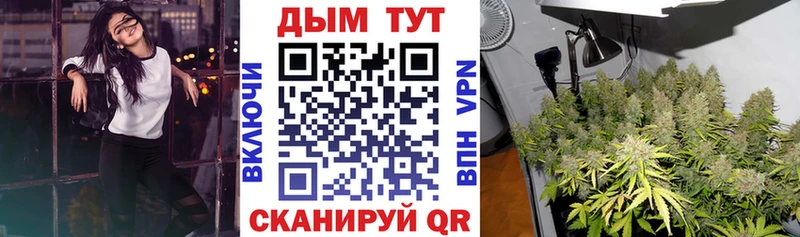 Конопля MAZAR  Волжский 